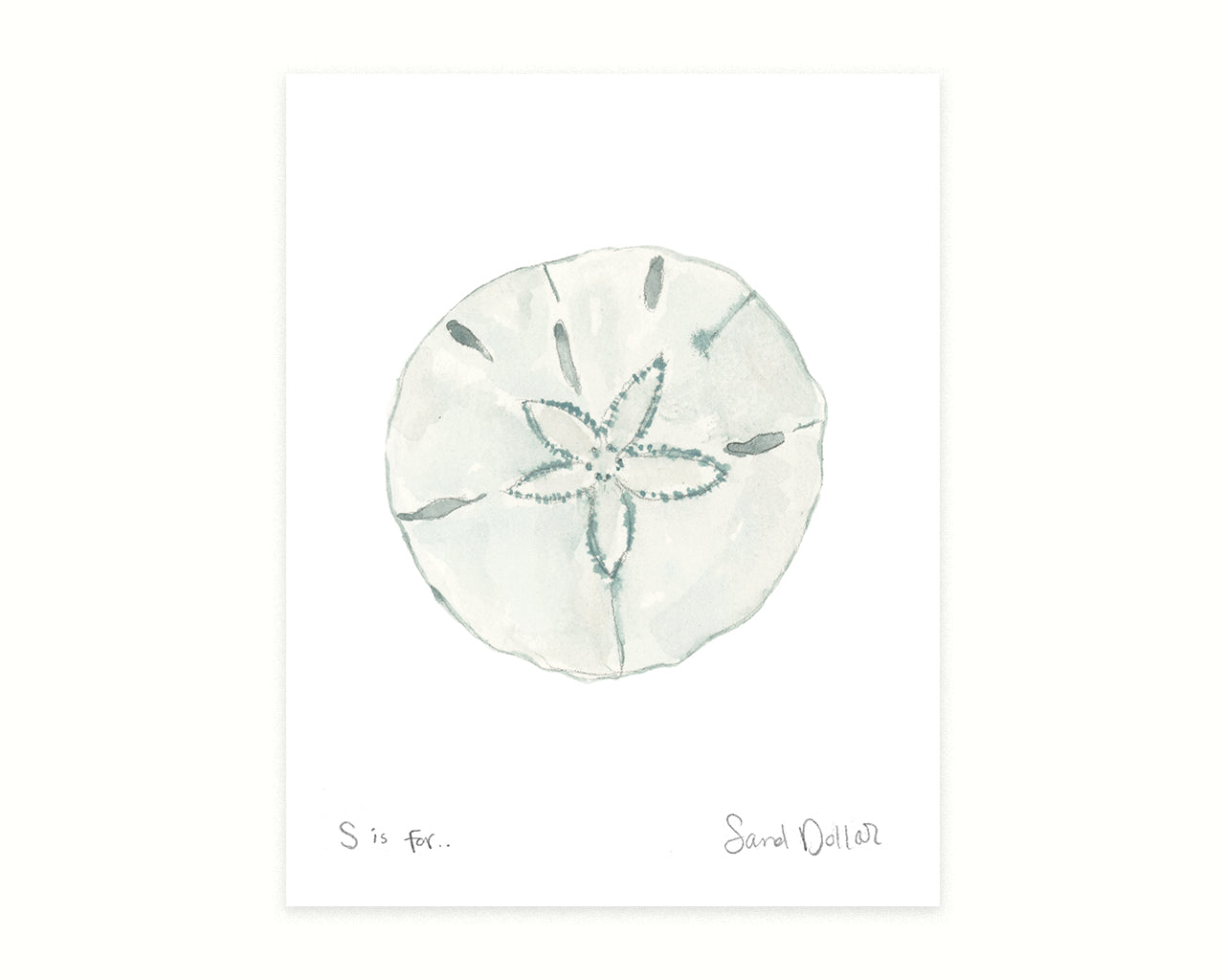 Sand Dollar watercolor beach art print on a white background; coastal decor, ocean themed wall art, nautical home decoration.