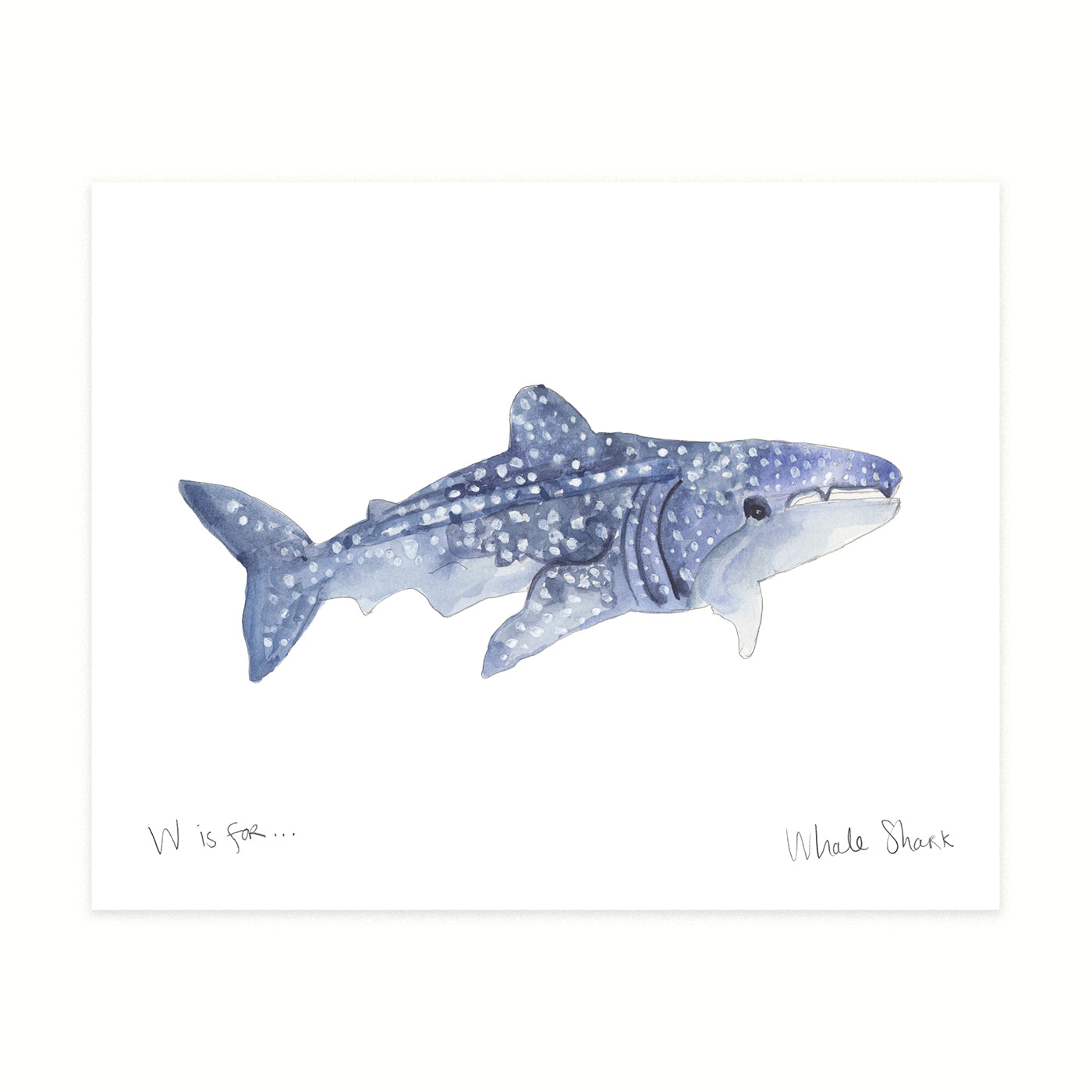 MJ_WhaleShark_Mock_Print_10x8_