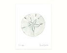 Sand Dollar watercolor beach art print on a white background; coastal decor, ocean themed wall art, nautical home decoration.