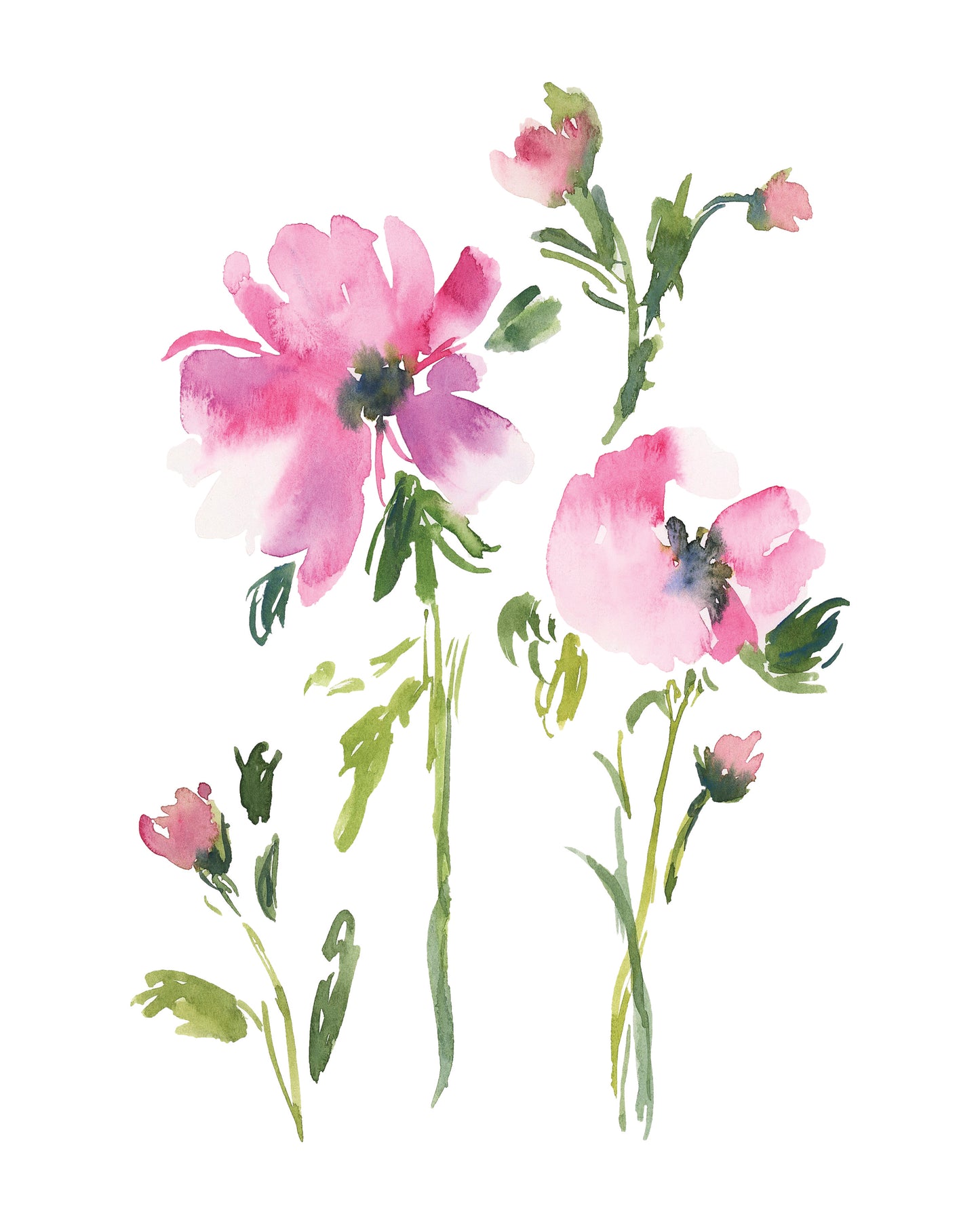 Anemone Watercolor Print